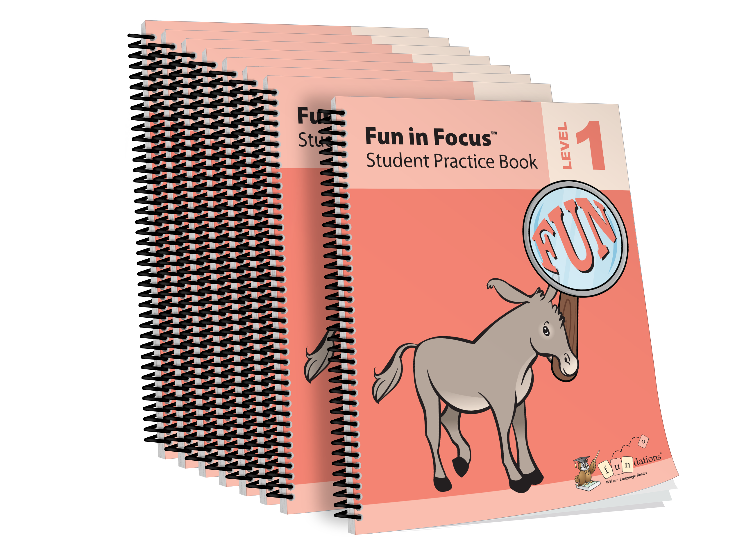 Fun in Focus Student Practice Book Level 1 (8-Pack)
