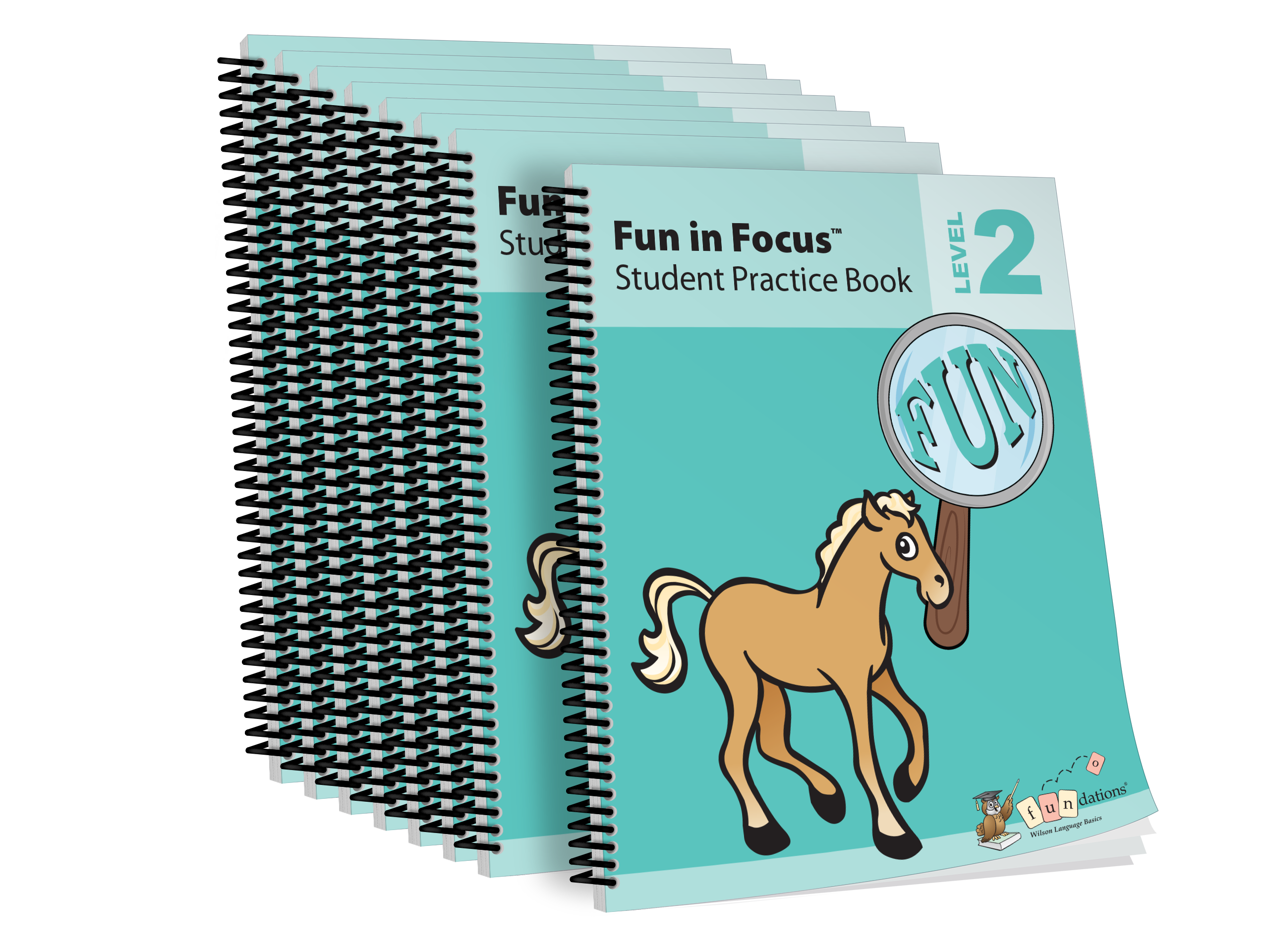 Fun in Focus Student Practice Book Level 2 (8-Pack)