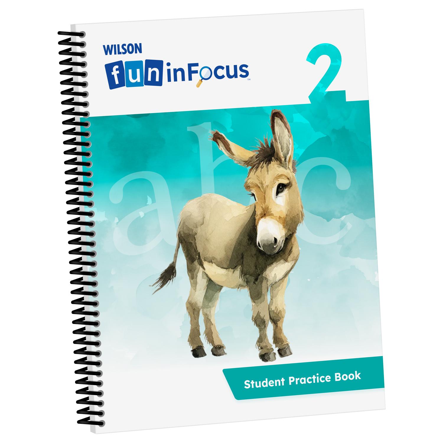 Fun in Focus Student Practice Book Level 2